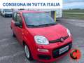 Fiat Panda 1.0 FIREFLY HYBRID CITY LIFE X NEOPATENTATI- Rosso - thumbnail 4