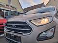 Ford EcoSport 1,0 EcoBoost Trend ALU+SITZHEIZUNG Beige - thumbnail 21