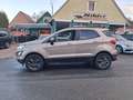 Ford EcoSport 1,0 EcoBoost Trend ALU+SITZHEIZUNG Beige - thumbnail 6
