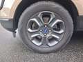 Ford EcoSport 1,0 EcoBoost Trend ALU+SITZHEIZUNG Beige - thumbnail 22
