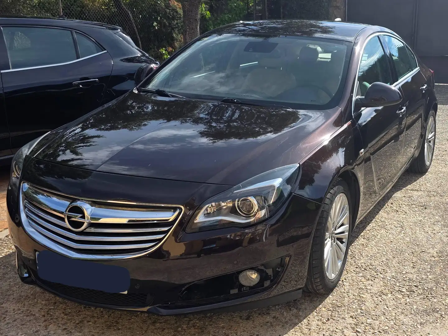 Opel Insignia Insignia 1.6CDTI ecoF. S Marrón - 1