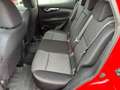 Nissan Qashqai 1,6 dCi Acenta ALL-MODE 4x4 Rot - thumbnail 13