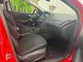 Ford Focus 1.0 Ecoboost Auto-St.-St. 92kW Trend+ Rouge - thumbnail 27