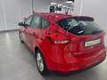 Ford Focus 1.0 Ecoboost Auto-St.-St. 92kW Trend+ Rosso - thumbnail 5