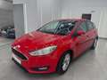 Ford Focus 1.0 Ecoboost Auto-St.-St. 92kW Trend+ Rosso - thumbnail 4