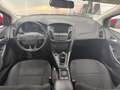 Ford Focus 1.0 Ecoboost Auto-St.-St. 92kW Trend+ Rouge - thumbnail 22