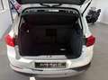 Volkswagen Tiguan 2.0 TDI 110 Cup - thumbnail 3