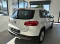 Volkswagen Tiguan 2.0 TDI 110 Cup - thumbnail 12