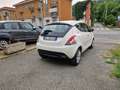 Lancia Ypsilon 1.2 70CV Benzina Euro5B, Clima, Radio, Servosterzo Bianco - thumbnail 4