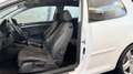 Volkswagen Golf 1.9TDI Sportline 105 Blanco - thumbnail 12