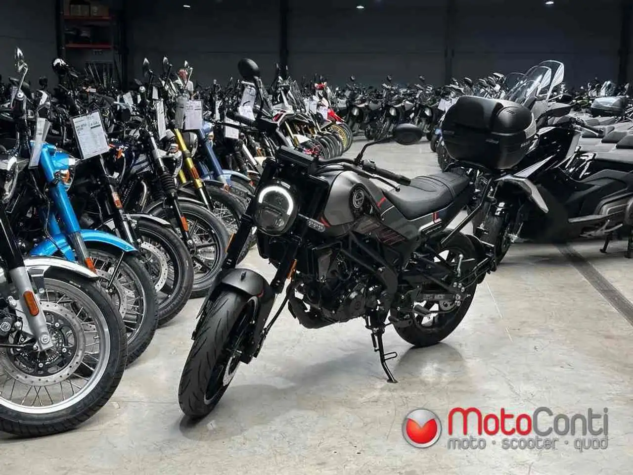 Benelli Leoncino
