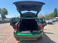 MINI Cooper D Countryman 2.0 D BUSINESS AUTOMATICA AZIENDALE Verde - thumbnail 12