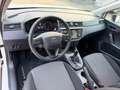 SEAT Arona 1.0 TGI Reference OK NEOPATENTATI Blanc - thumbnail 6