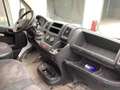 Fiat Ducato 2.0hdi 130cv DOPPIA CABINA RIBALTABILE Blanc - thumbnail 14