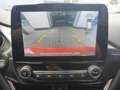 Ford Fiesta 1.0 Hybrid ST-Line X | Panoramadak | Winter Pack | Rood - thumbnail 16