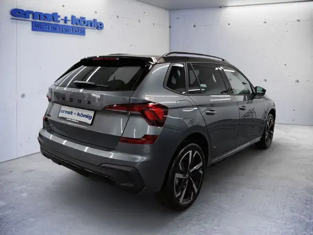 Skoda Kamiq view 3