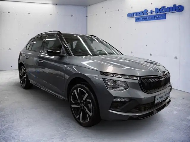 Skoda Kamiq view 2