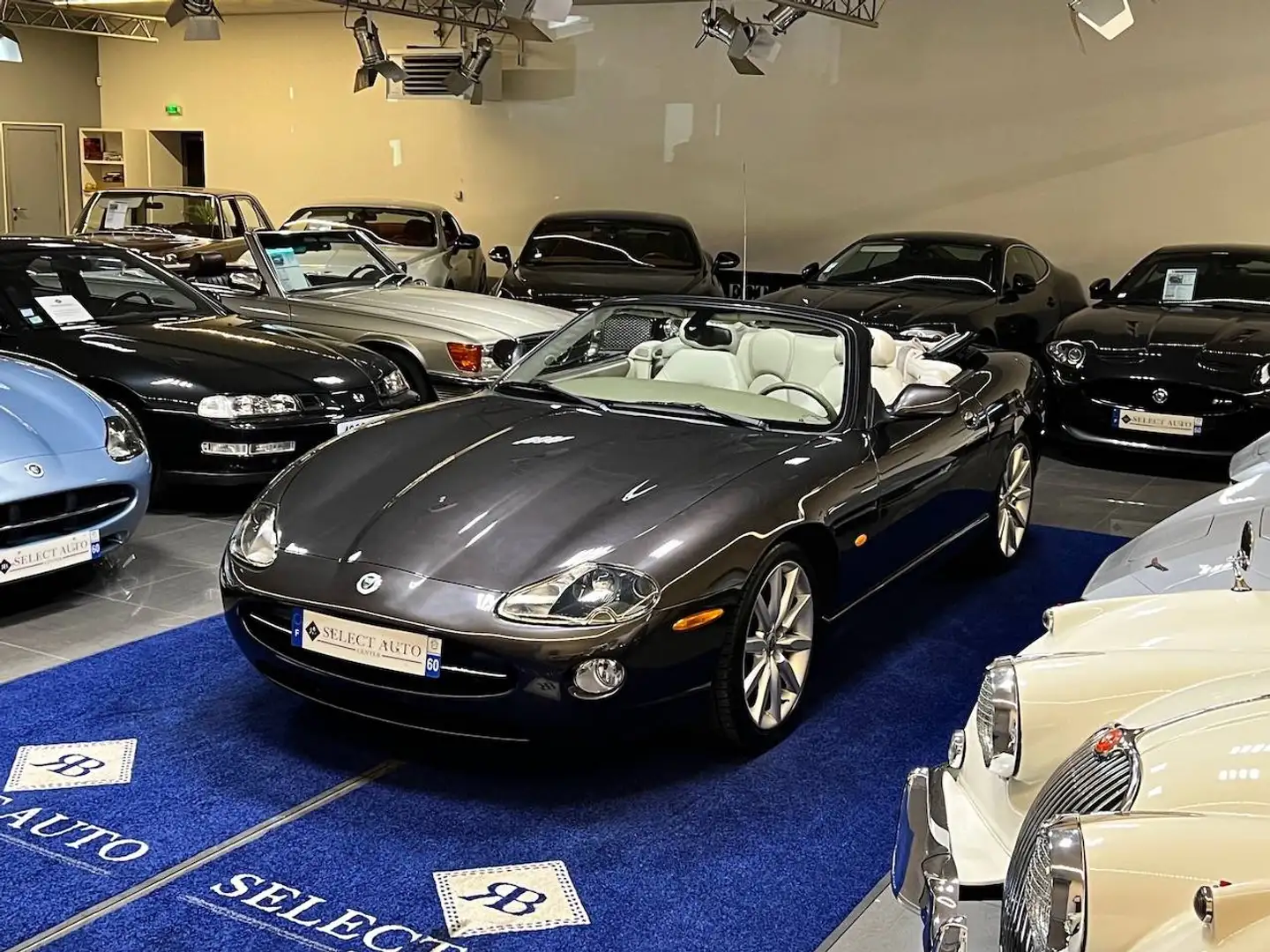 Jaguar XK8 Spirit Of Legend 4.2-S V8 Negro - 1
