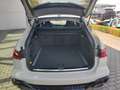 Audi RS6 Avant TFSI quattro perf. KAM Indiv. Lack Beige - thumbnail 15