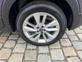 Volkswagen T-Cross Life Plus-1,0 TSI 116 PS DSG-ACC-17"-Kamera-Sun... Grau - thumbnail 10