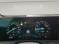 Kia Sportage (NQ5) Grün - thumbnail 12