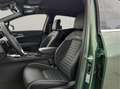 Kia Sportage (NQ5) Grün - thumbnail 10