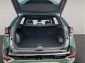 Kia Sportage (NQ5) Grün - thumbnail 8