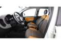 Fiat Panda 1.3 Diesel 16V 4x4 ALLRAD LEDER RADIO KLIMA Weiß - thumbnail 16