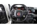 Fiat Panda 1.3 Diesel 16V 4x4 ALLRAD LEDER RADIO KLIMA Weiß - thumbnail 22