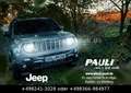 Jeep Renegade 1.0l T-GDI Limited | Park-Paket | Pano Blau - thumbnail 19