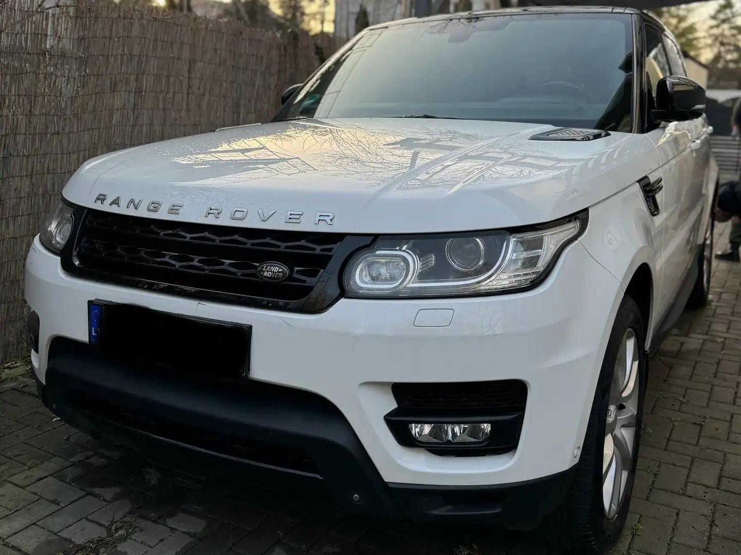 Land Rover Range Rover Sport Range Rover Sport SDV8 HSE Dynamic Blanc - 1