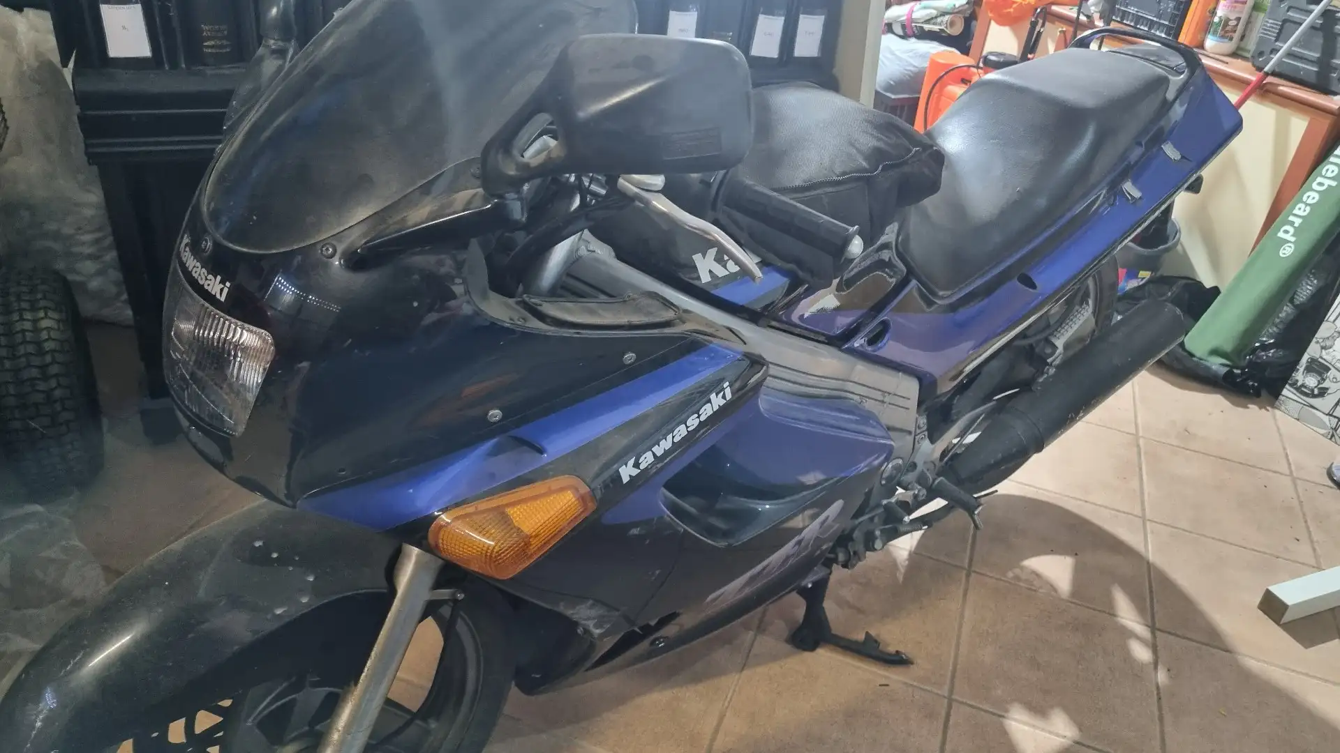 Kawasaki ZZR 250 Blu/Azzurro - 2