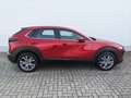 Mazda CX-30 2.5l (140PS) Exclusive Driver-/ Sound Design-Paket Rot - thumbnail 5