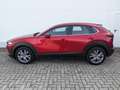 Mazda CX-30 2.5l (140PS) Exclusive Driver-/ Sound Design-Paket Rot - thumbnail 4