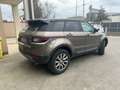 Land Rover Range Rover Evoque 5p 2.0 td4 SE Dynamic 150cv auto Bronze - thumbnail 3