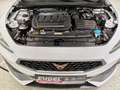 CUPRA Leon 2.0 TDI DSG SHZ|Navi|ACC|RFK|virt.Cock.|Winter Weiß - thumbnail 20