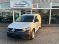 Volkswagen CADDY MAXI KASTEN/AHK/SITZHZG./REGALE/TÜV Blanc - thumbnail 1