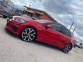 Volkswagen Golf GTI Golf VII GTI 5p 2.0 tsi Performance 245cv dsg Rosso - thumbnail 5