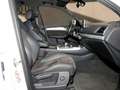 Audi Q5 40 TDI quattro S line Sport 360° AHK Navi+VC AC... Weiß - thumbnail 10