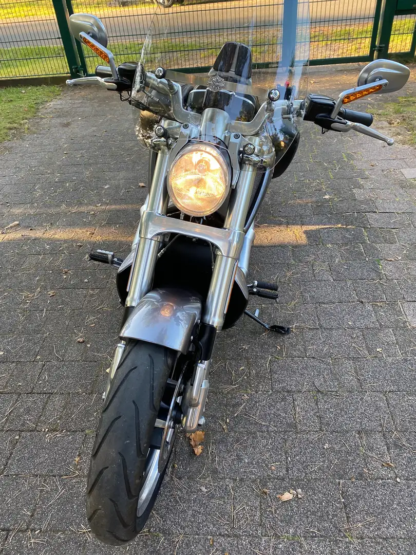 Harley-Davidson VRSC V-Rod Gris - 2