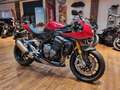 Triumph Speed Triple 1200 RR 10 KM" 100 Jahre(250/3,99) Rojo - thumbnail 22