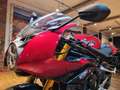 Triumph Speed Triple 1200 RR 10 KM" 100 Jahre(250/3,99) Rojo - thumbnail 27
