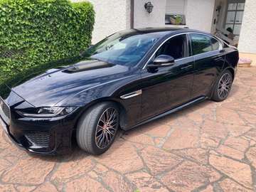 XE P250 Aut. R-Dynamic S