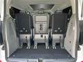 Ford Tourneo Custom Titanium elekt. Tür Techn. Pak. Weiß - thumbnail 7