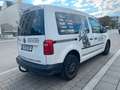Volkswagen Caddy PKW Conceptline BlueMotion Weiß - thumbnail 2