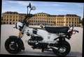 Skyteam Skymax 50 CLUB-S INJECTION  EURO 5+ Negro - thumbnail 12