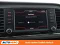 SEAT Leon 2.0 TDI X-Perience 4Drive Grau - thumbnail 24