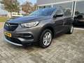 Opel Grandland X 1.2 Turbo Business Executive 50% deal 7.475,- ACTI Grijs - thumbnail 8