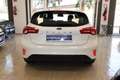 Ford Focus 1.5Ecoblue Trend+ 95 Bianco - thumbnail 11