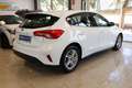 Ford Focus 1.5Ecoblue Trend+ 95 Bianco - thumbnail 10